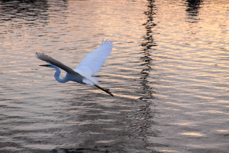 2013 04 16 IMG 03410e